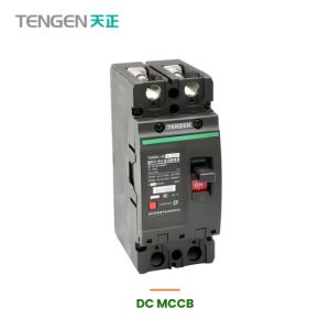 125A 2 Pole DC MCCB 500V 25kA (TENGEN TGM3DC-125)